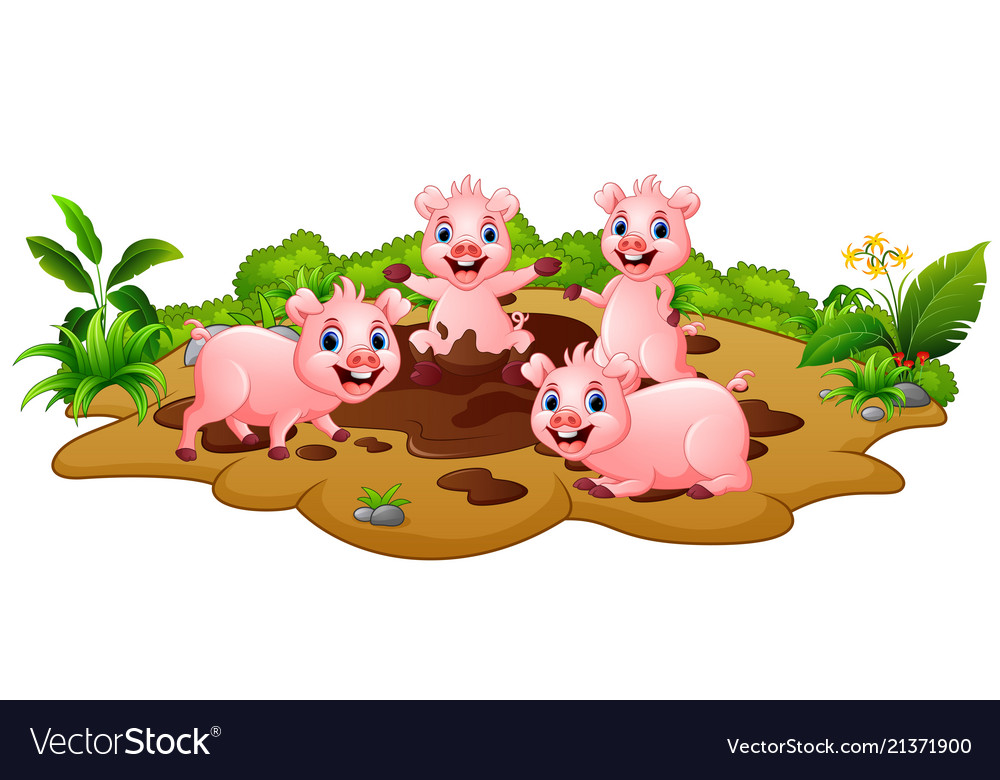 Funny pigs playing.