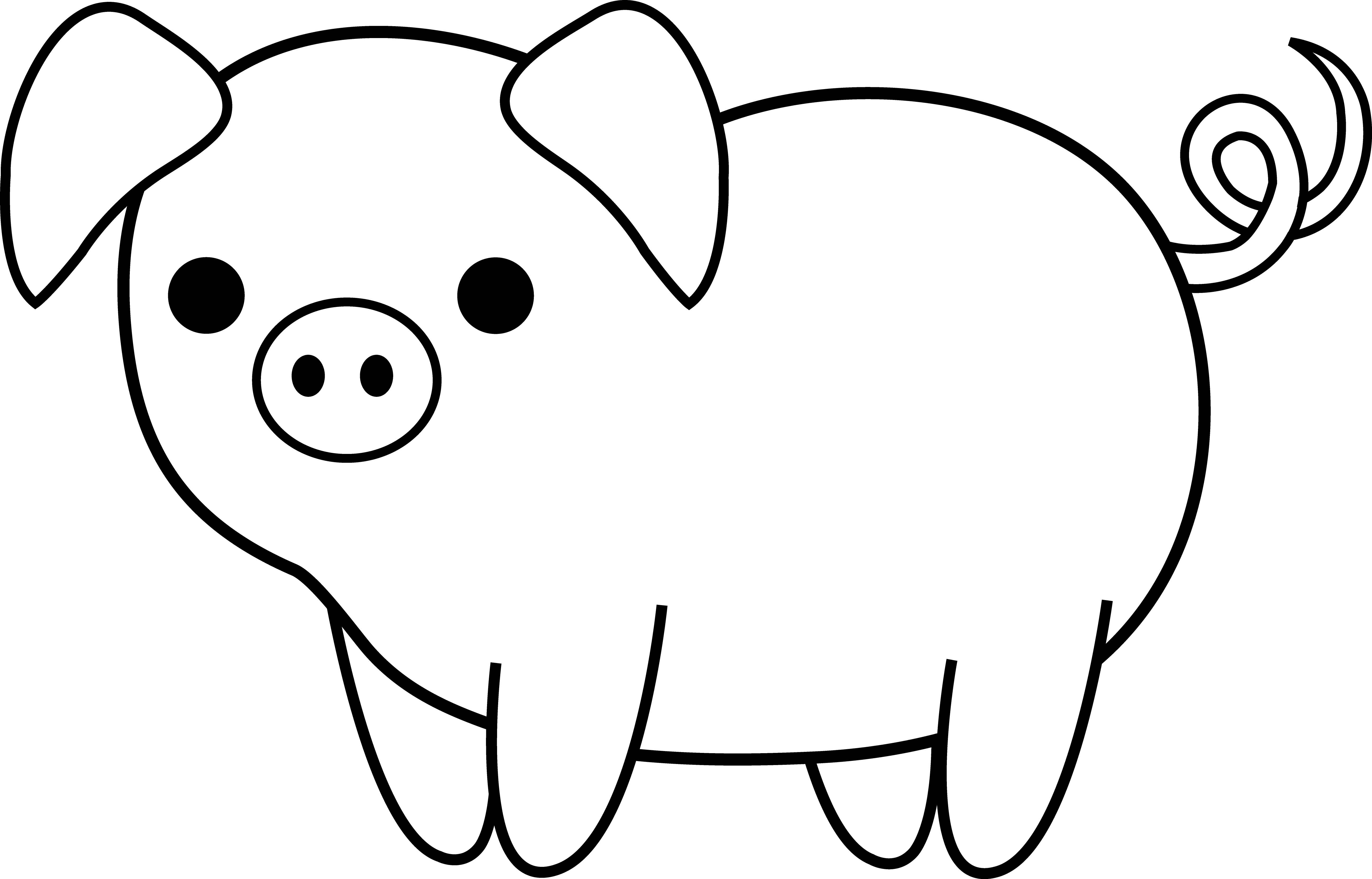 Cute Black and White Pig