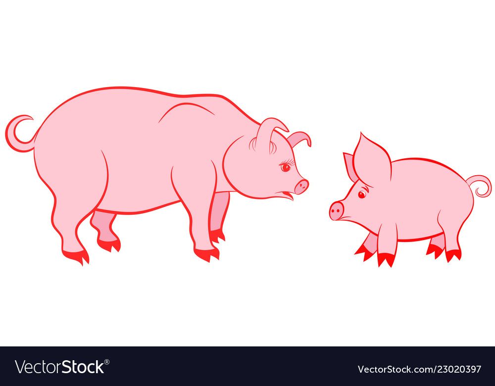 Mother pig and.