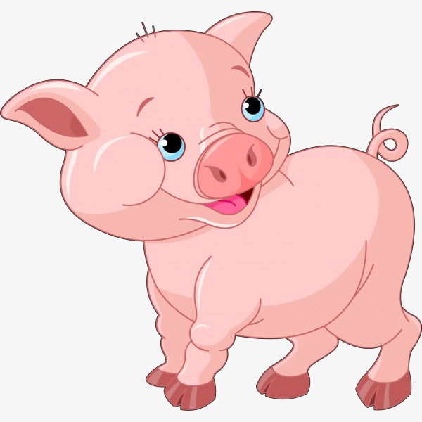 Pink pig clipart