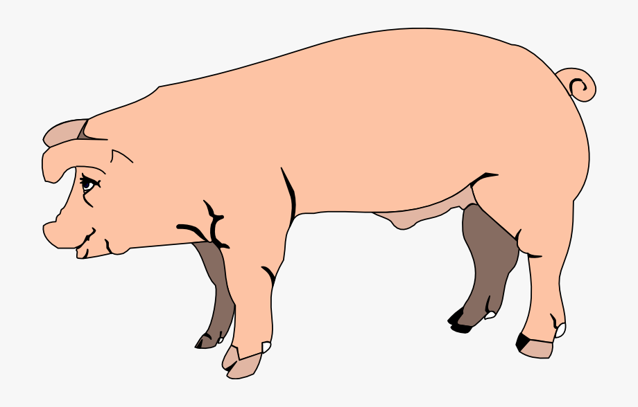 Pig clipart image.