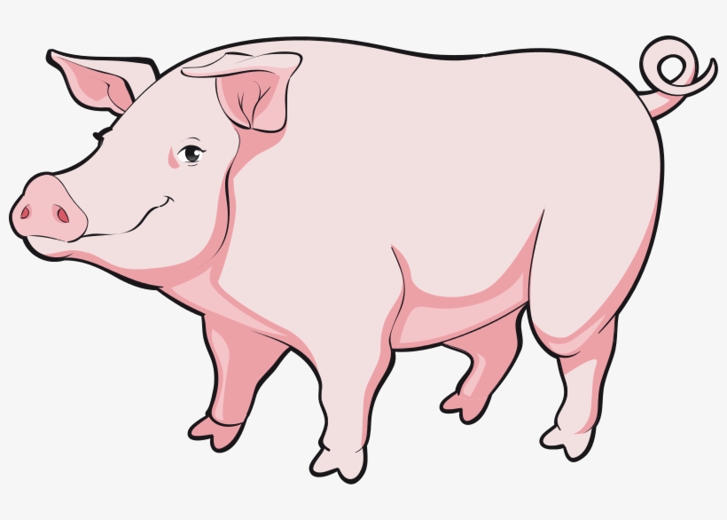 Cartoon Pig Png