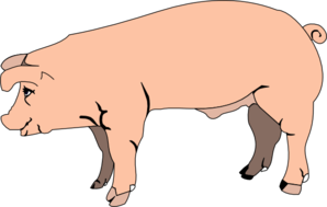 Pig Standing Clip Art at Clker