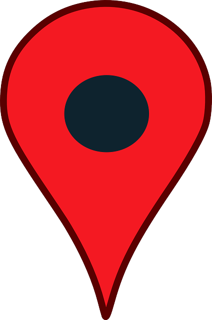 Location Pointer Pin Google Map Red cakepins