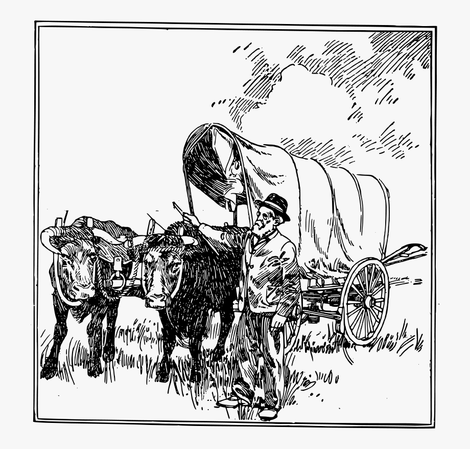 Oxen Pulling Wagon Drawing , Transparent Cartoon, Free