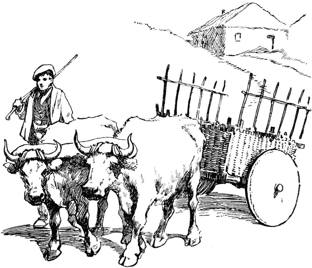 pioneer clipart ox drawing