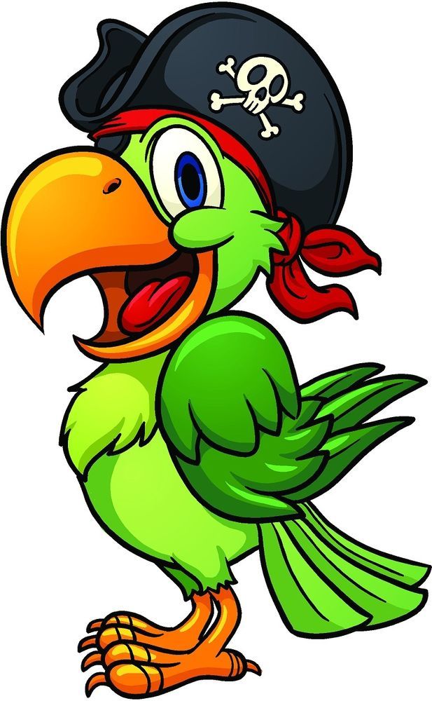 Pirate parrot drawing.