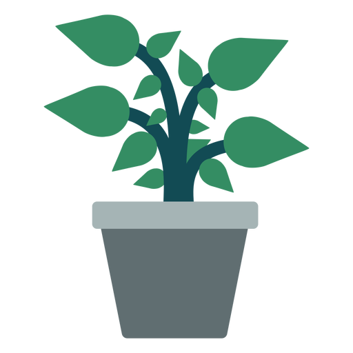 Flowerpot with plant.