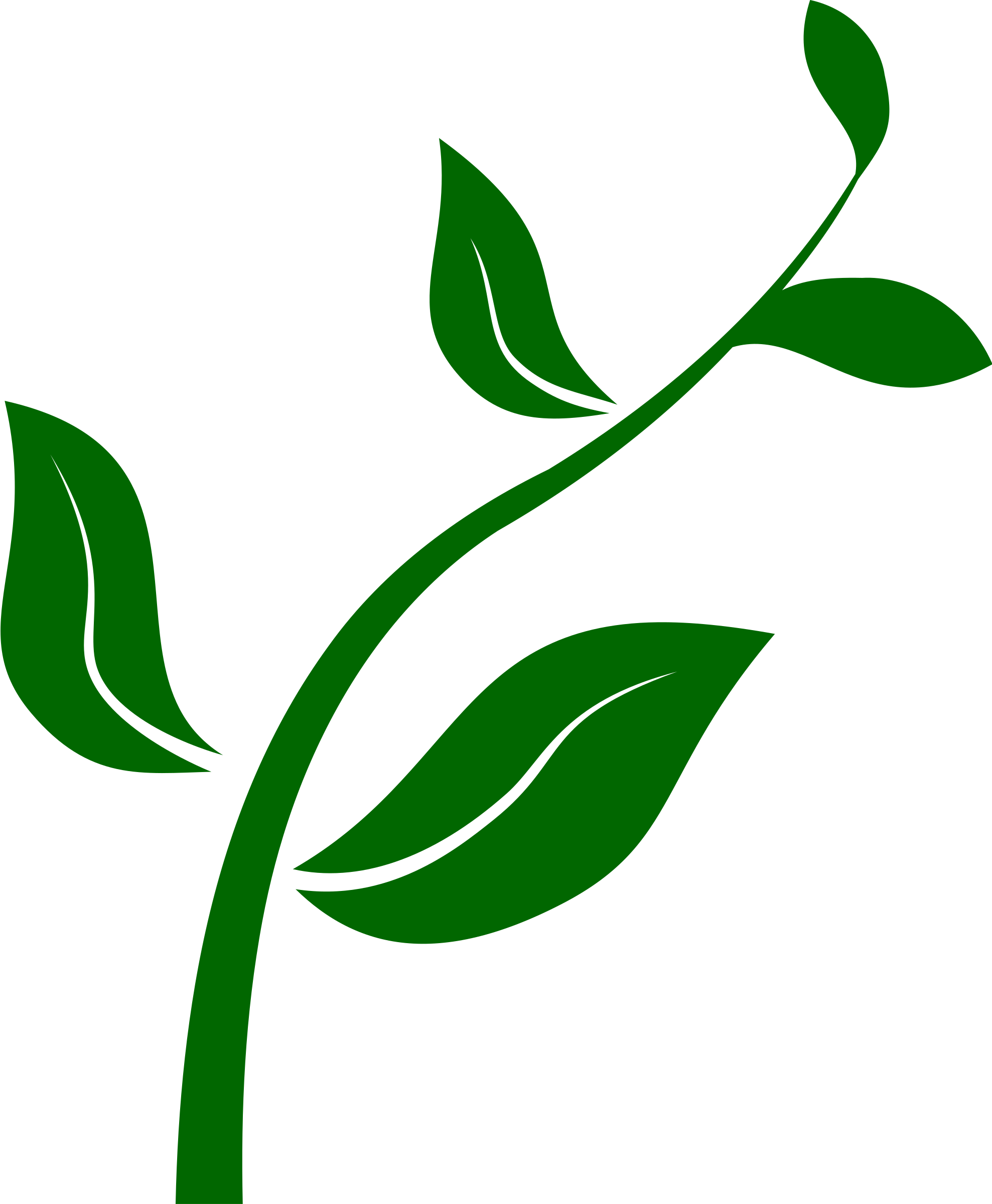 Plants clipart animated.
