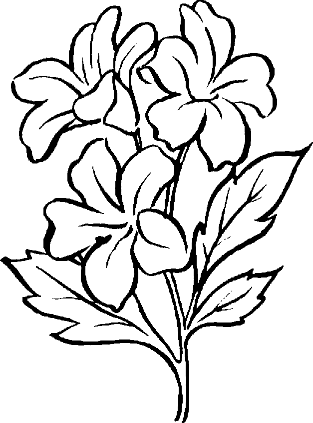 Free Black And White Plants, Download Free Clip Art, Free