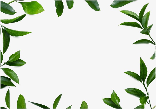 Plant Clipart Border and other clipart images on Cliparts pub™