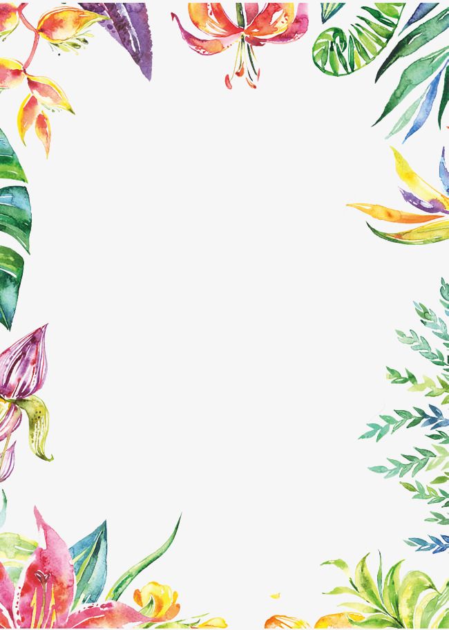 Hand Painted Colorful Plant Borders, Watercolor Border, Hand