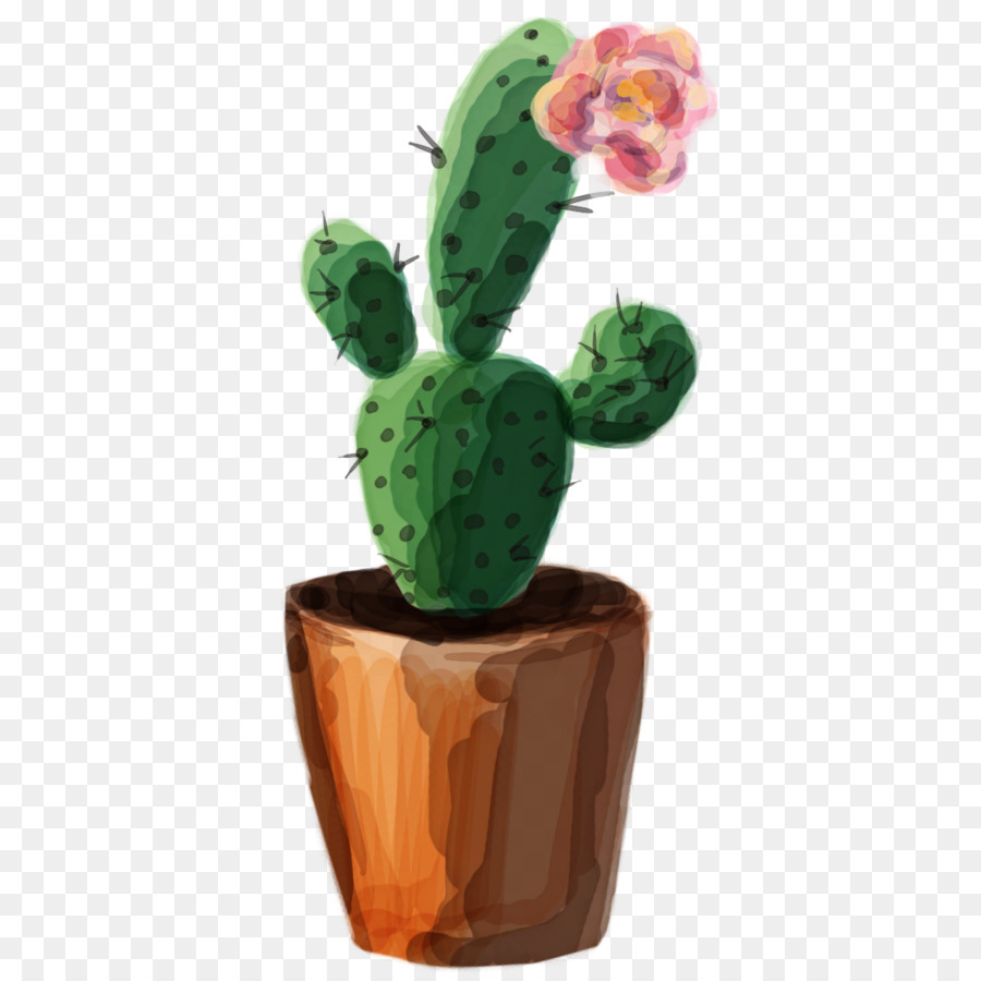 Cactus cartoon clipart.