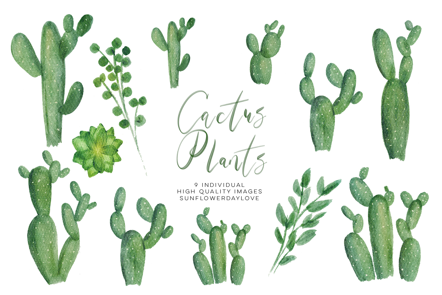 Watercolor Cactus Plant Clipart Set