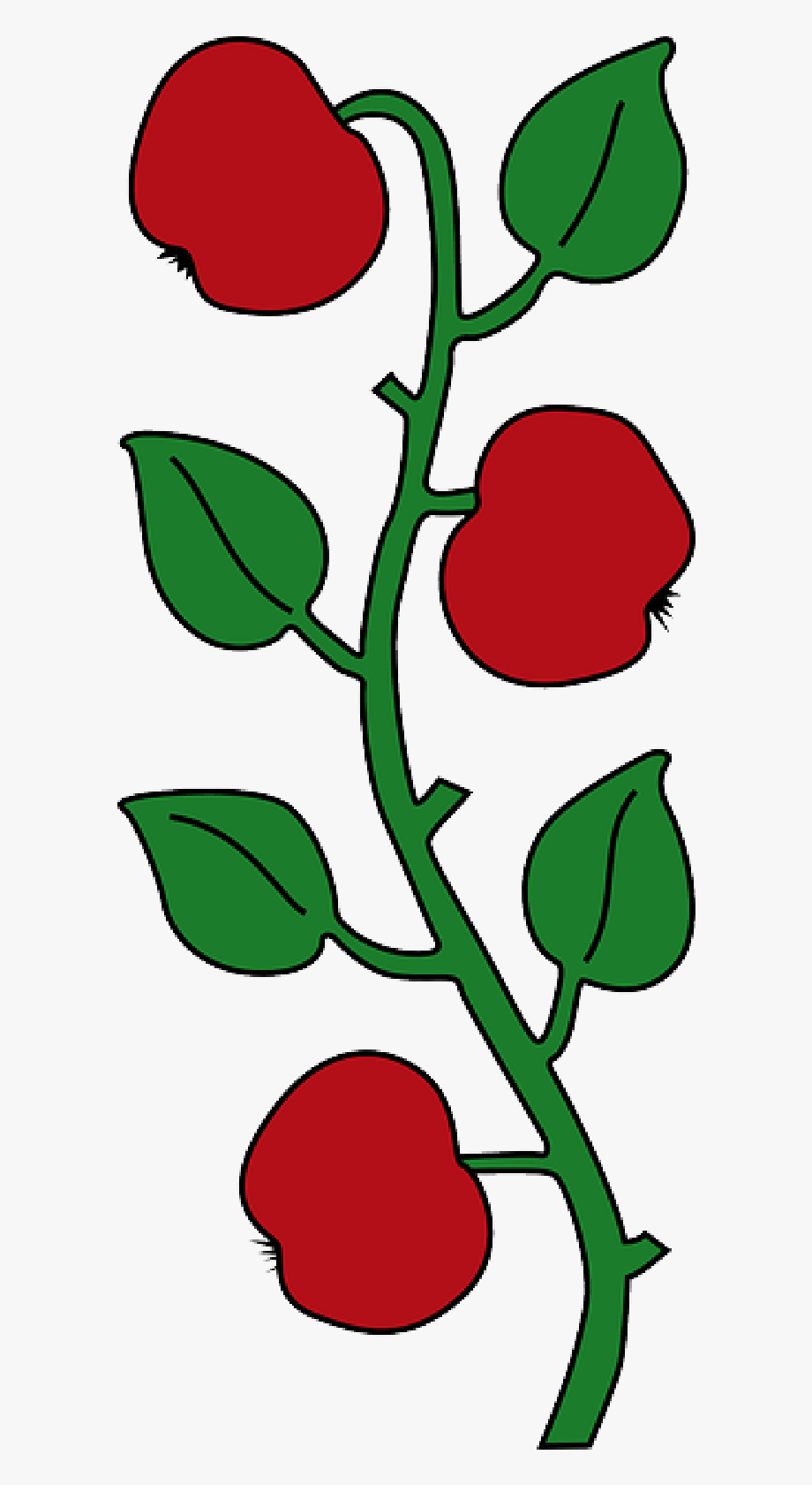 Fruit Tree Cartoon