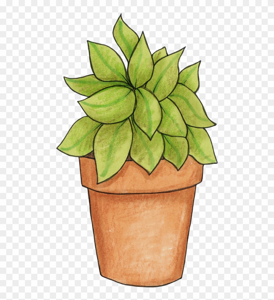 Potted plant pot.