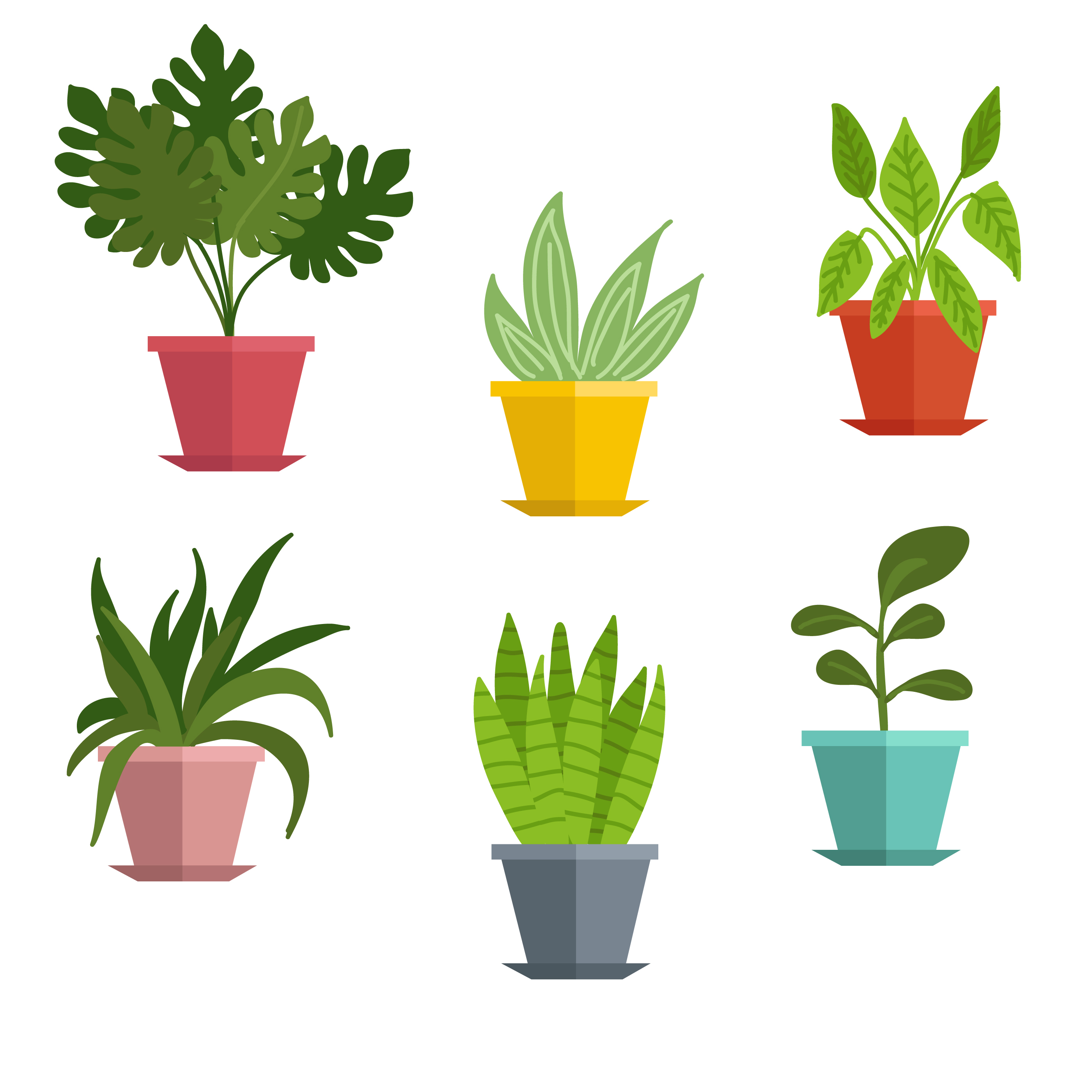 Potted Plant Free Vector Art