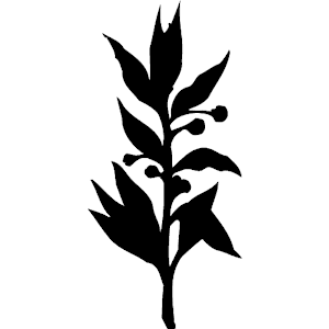 Plant silhouette clipart.