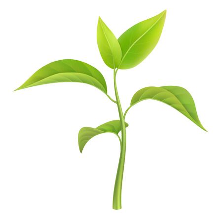 Small plants clipart.