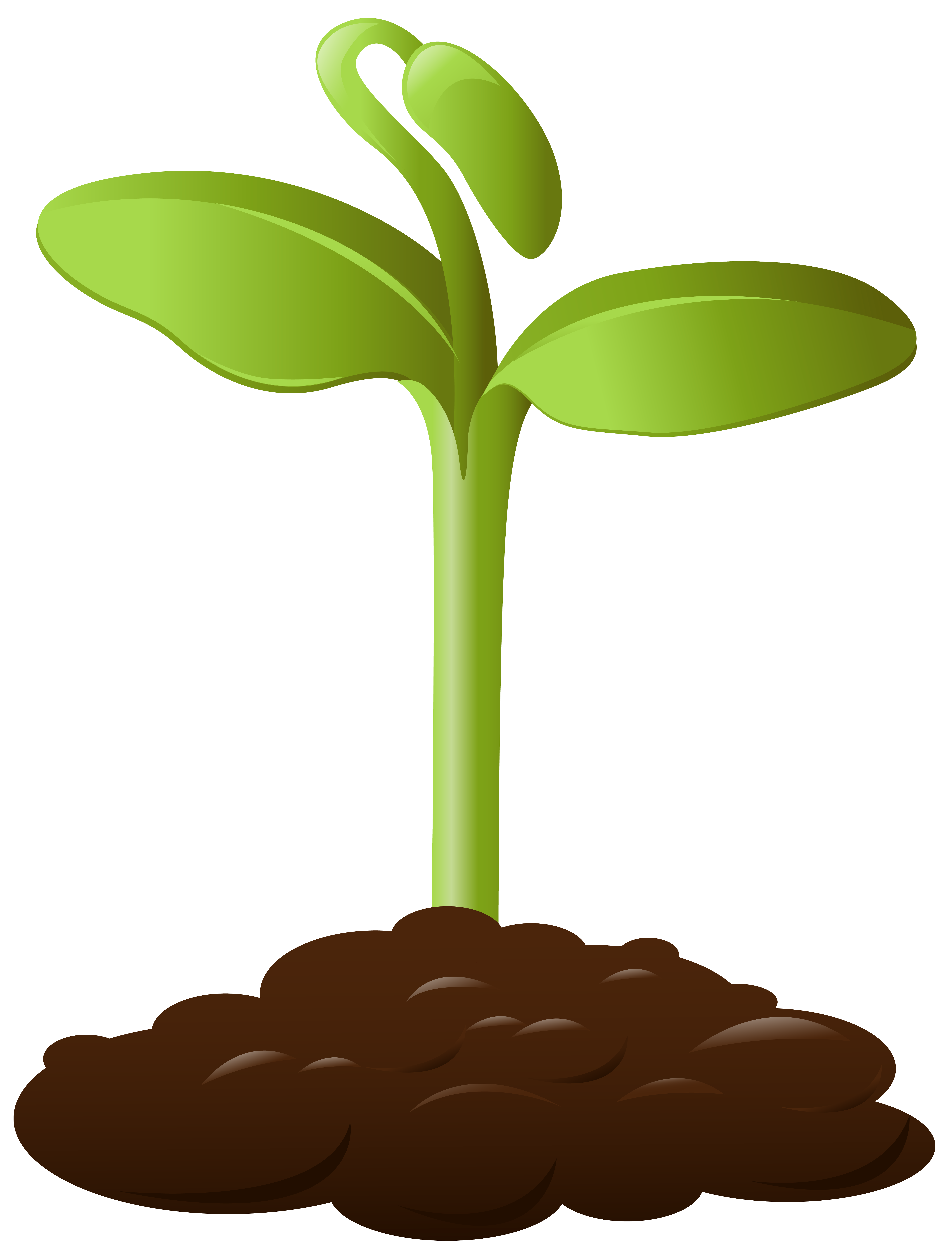Plant clipart small.