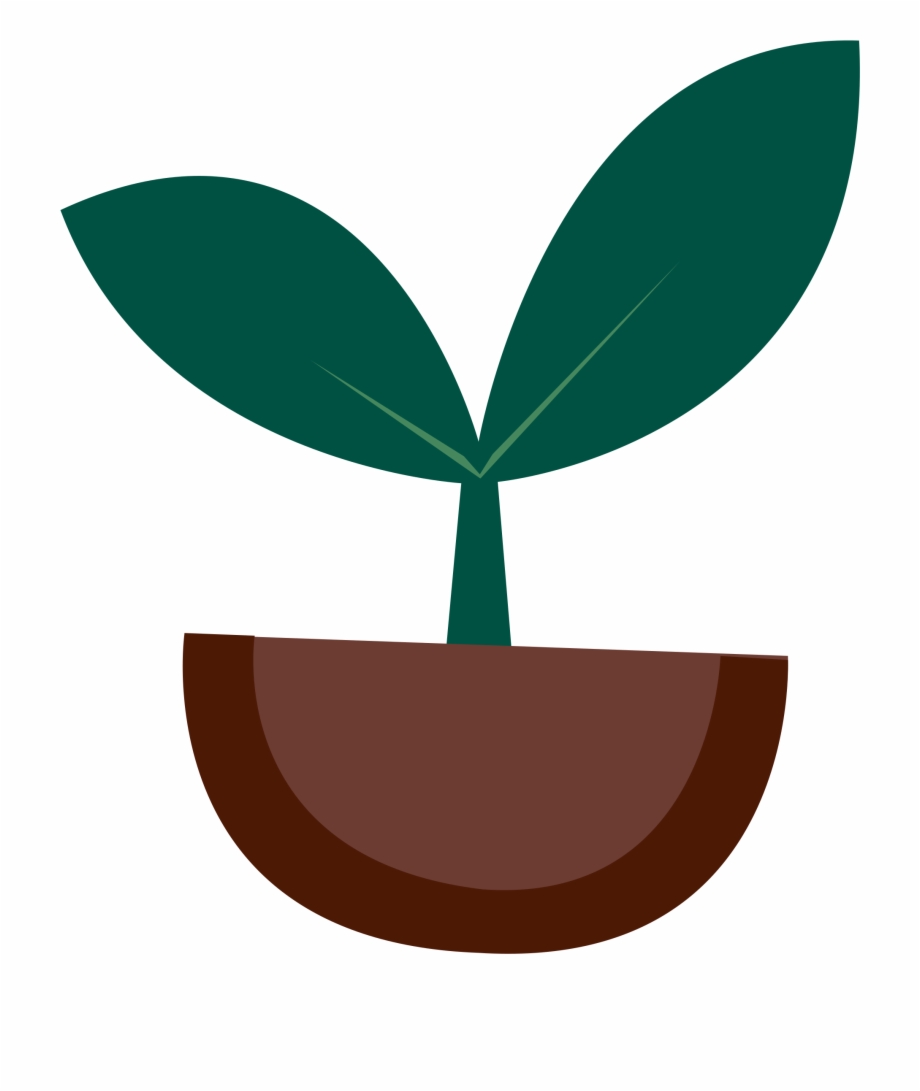 Seeds clipart small.