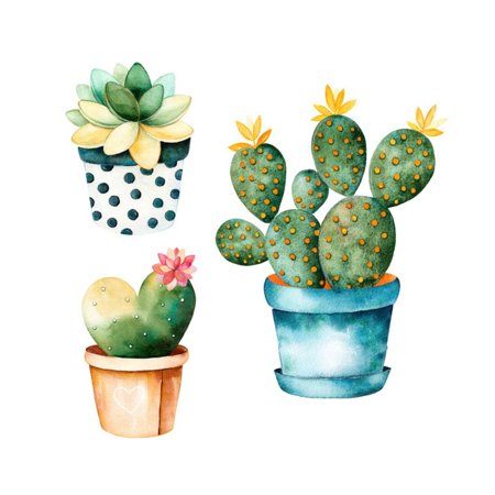 Watercolor Handpainted Cactus Plant and Succulent Plant in Pot