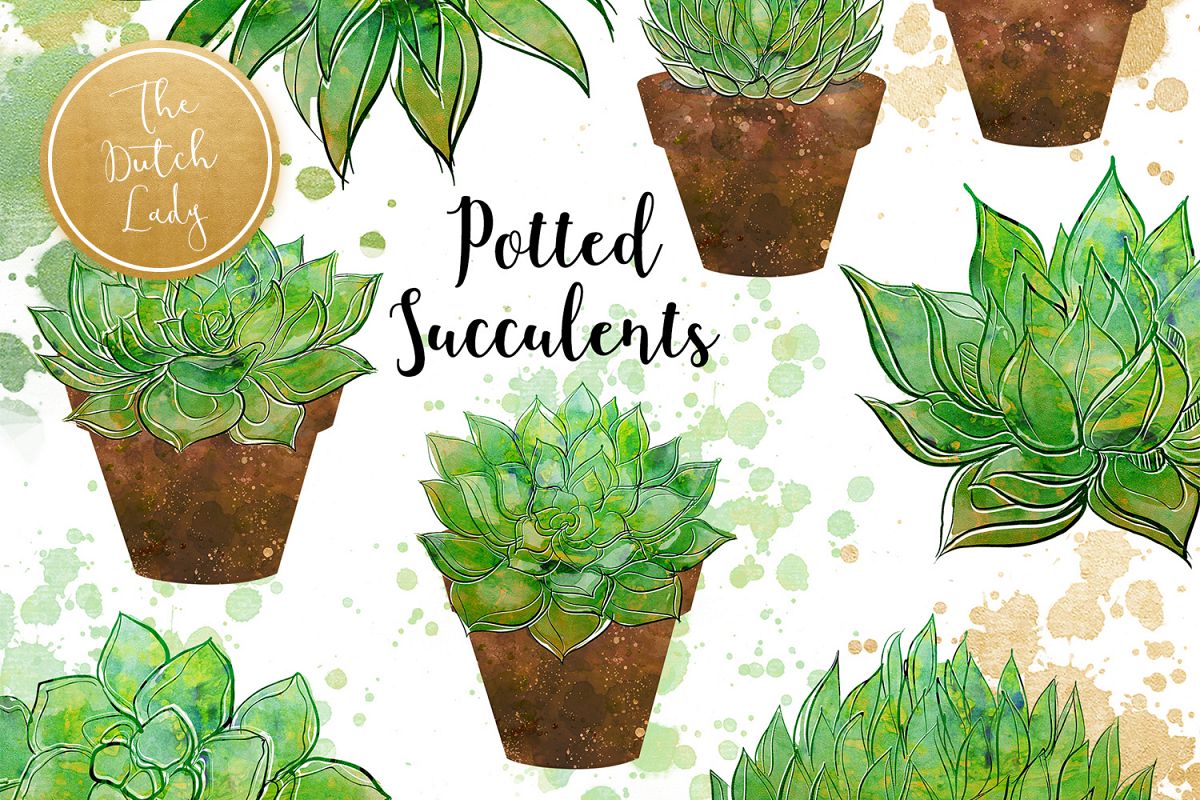 Succulent Potted Plant Clipart Set