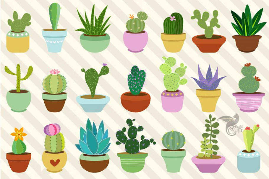 Cacti and Succulents Clipart