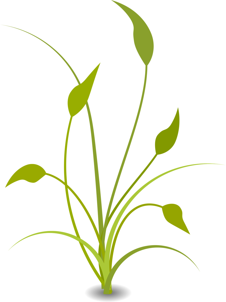 Free Plant Transparent Background, Download Free Clip Art