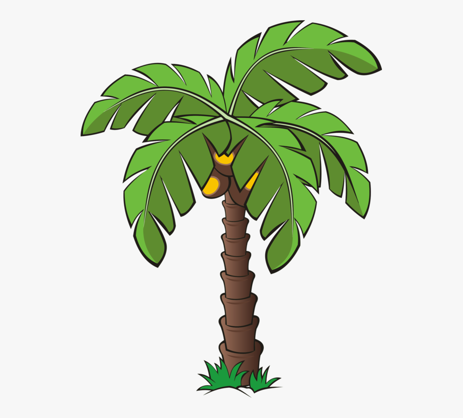 Palm trees canary.