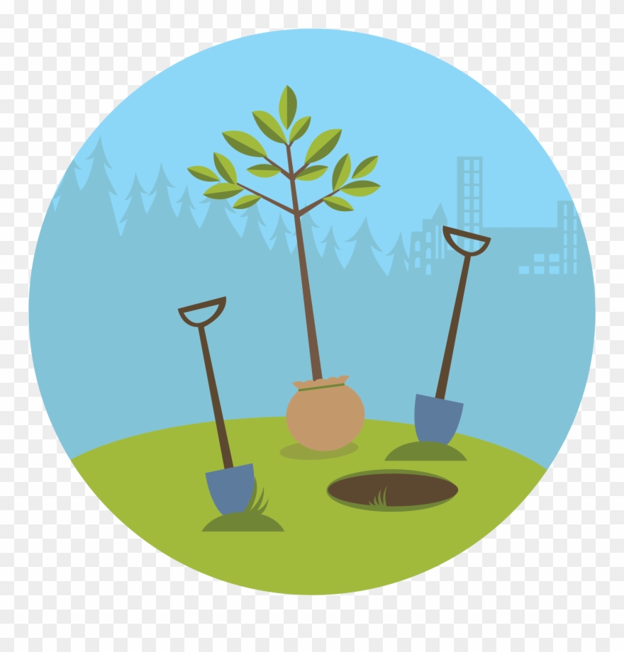 Tree Clipart Clipart Tr