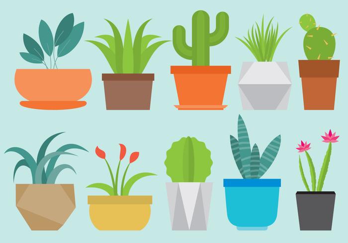 Home plants download.