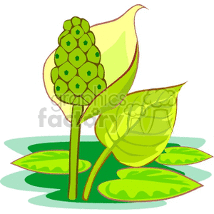 Blooming water plants clipart