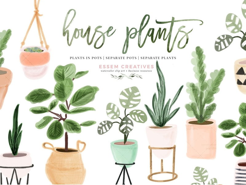 Watercolor House Plant Clip Art by Graphics Collection on