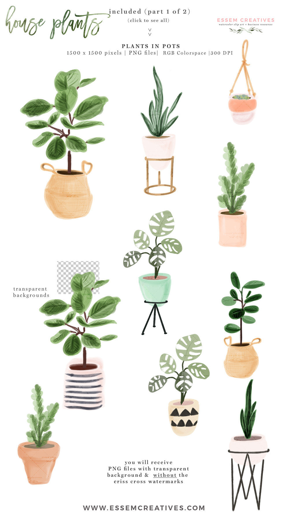 Watercolor House Plant Clip Art, Indoor Plants Potted Plant Graphics  Illustrations