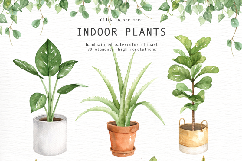 Indoor Plants Watercolor Clipart By everysunsun