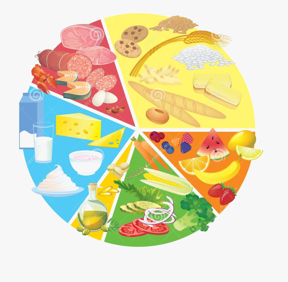 Nutrition Icon Png
