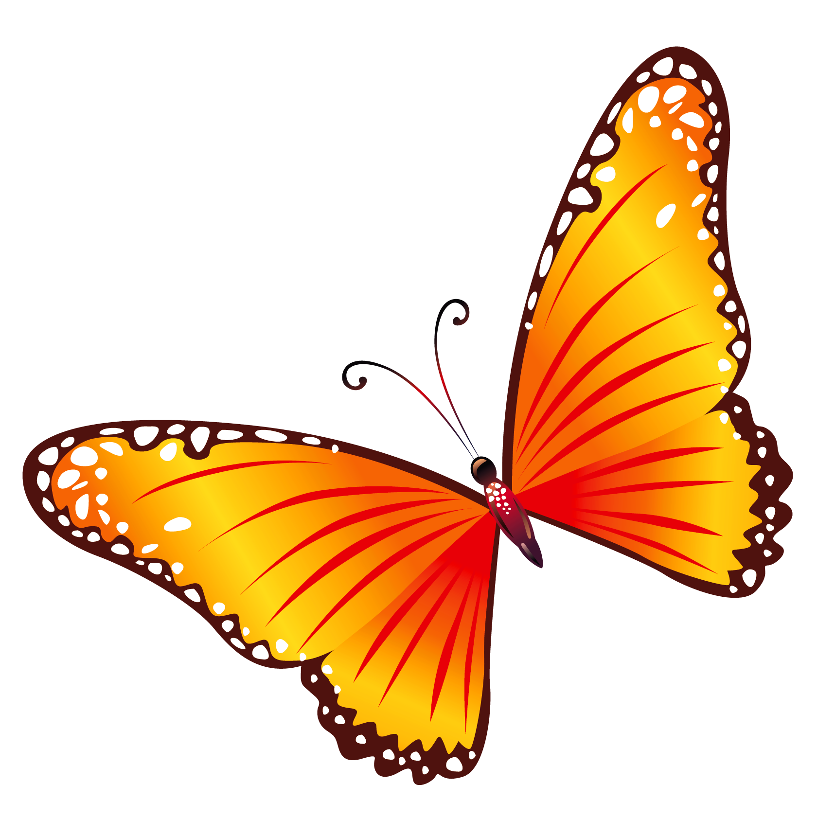 Transparent orange butterfly.