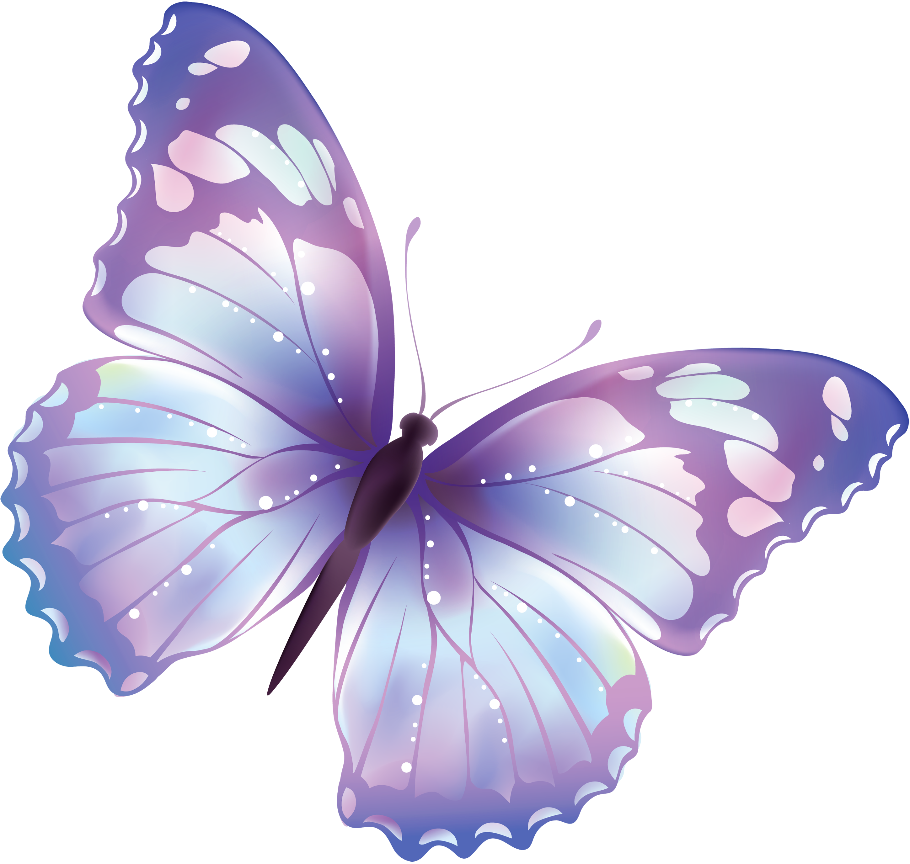 png clipart butterfly