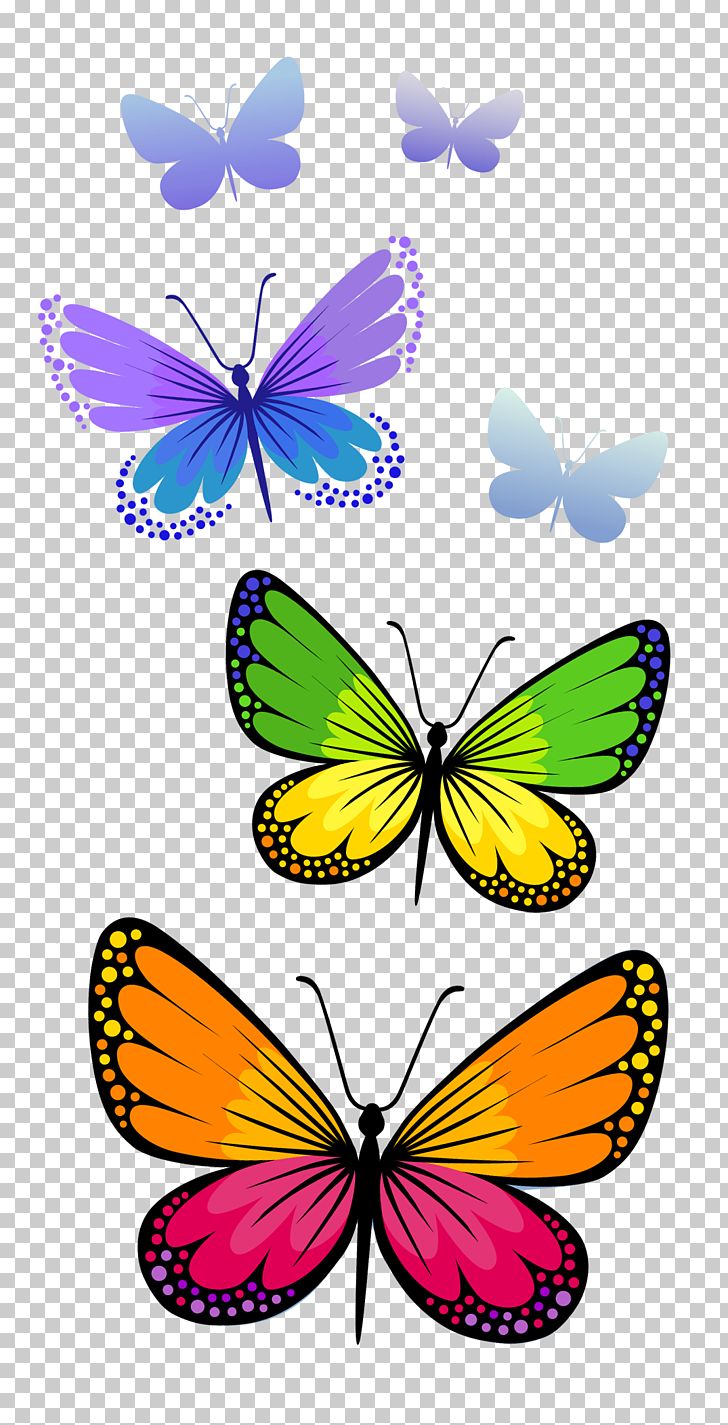 Butterfly png clipart.