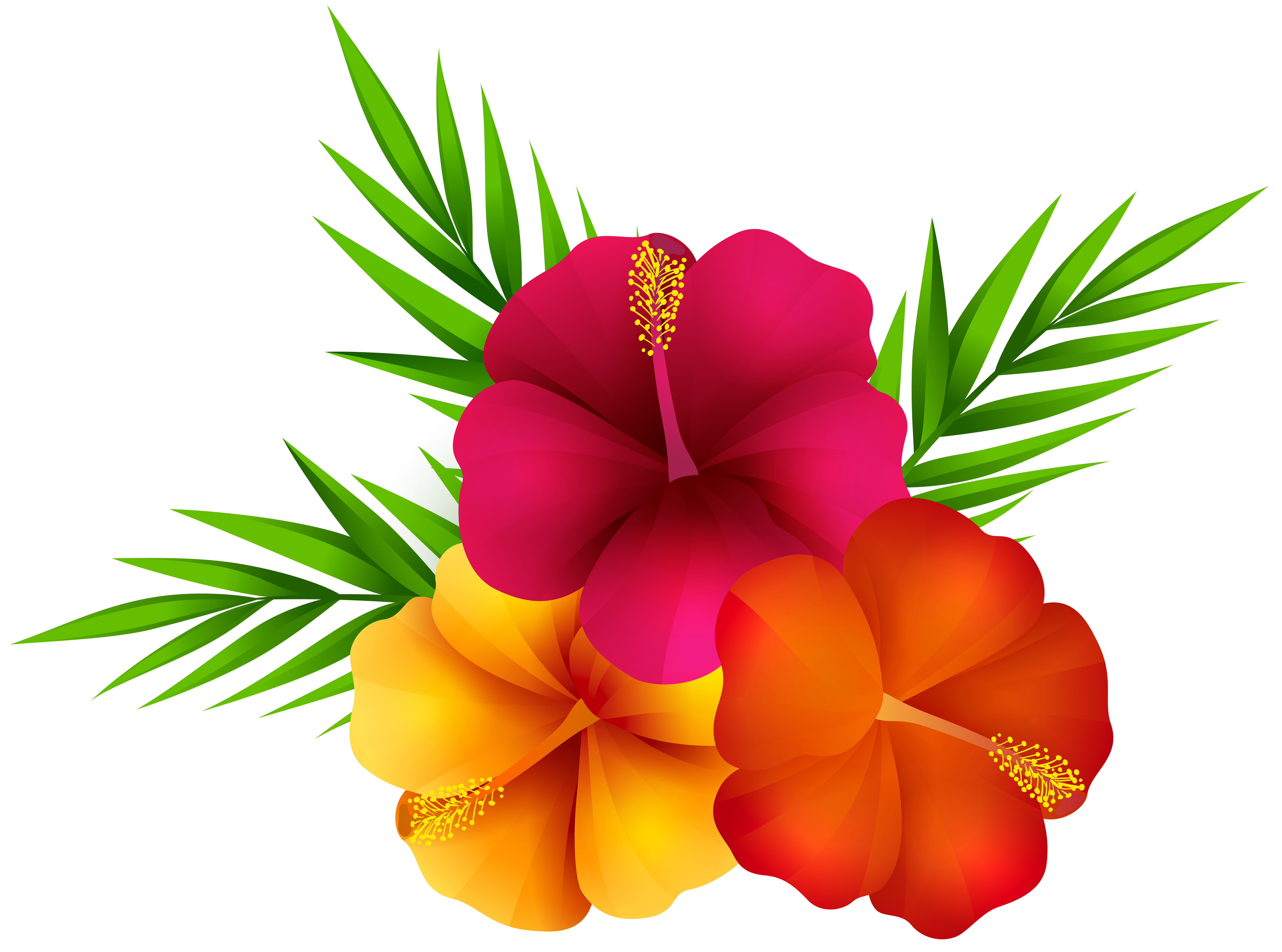 Png clipart flower pictures on Cliparts Pub 2020! 🔝