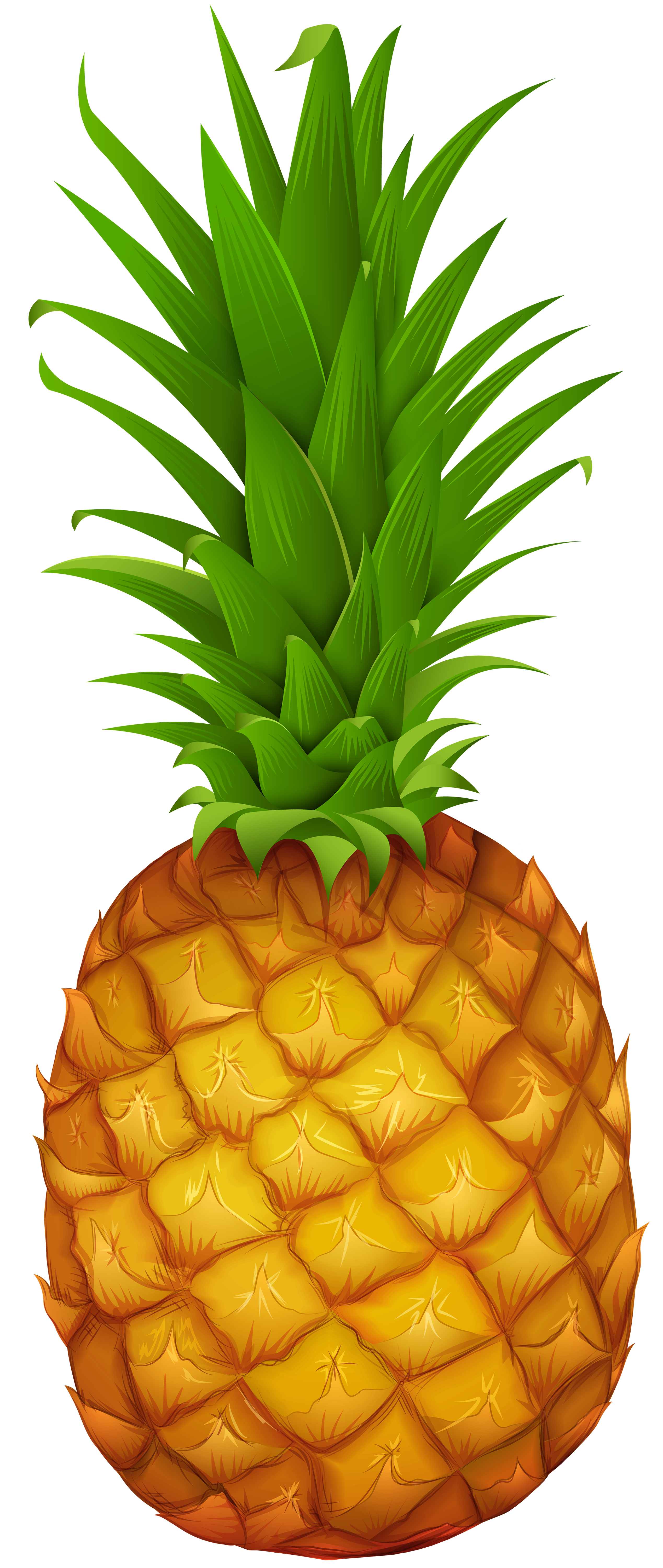 Pineapple png clipart.