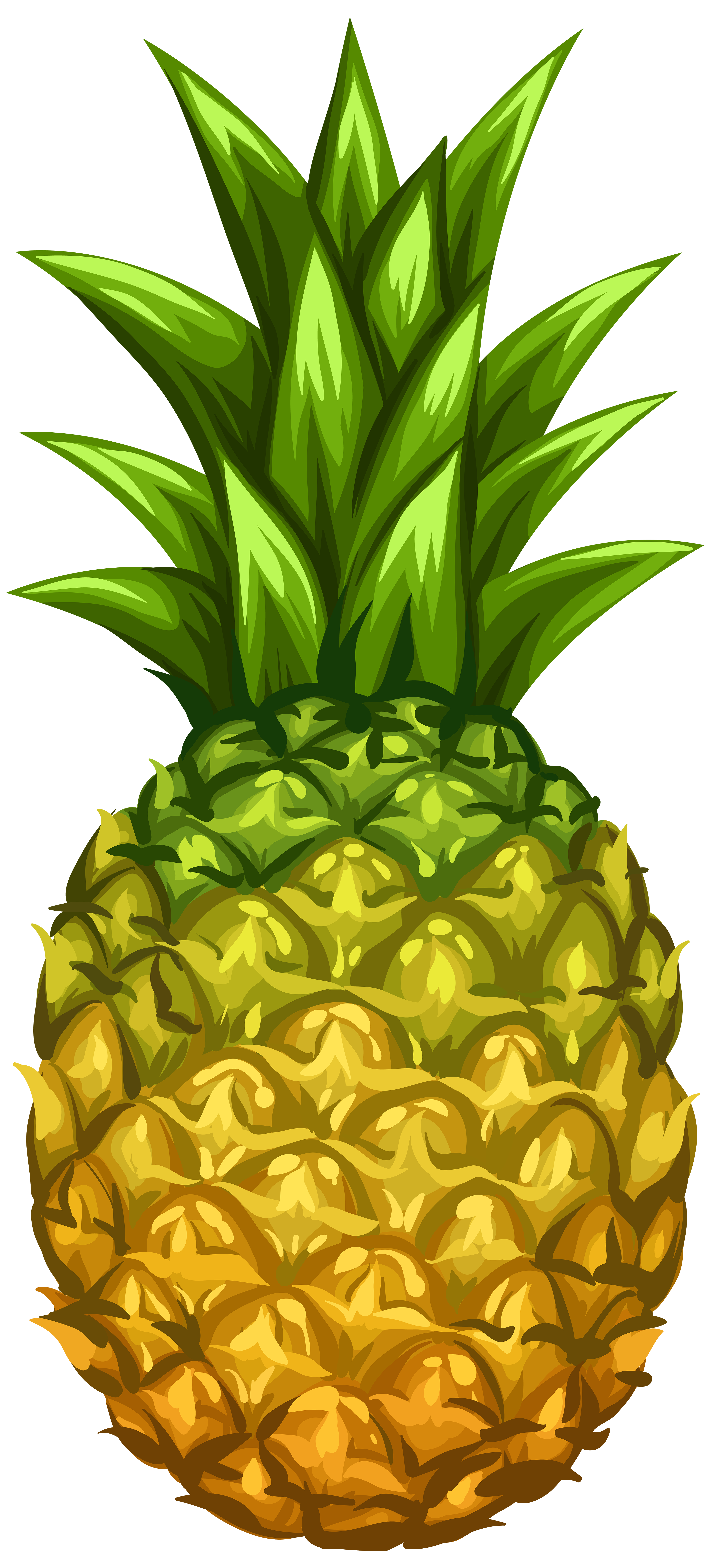 Pineapple clipart png.