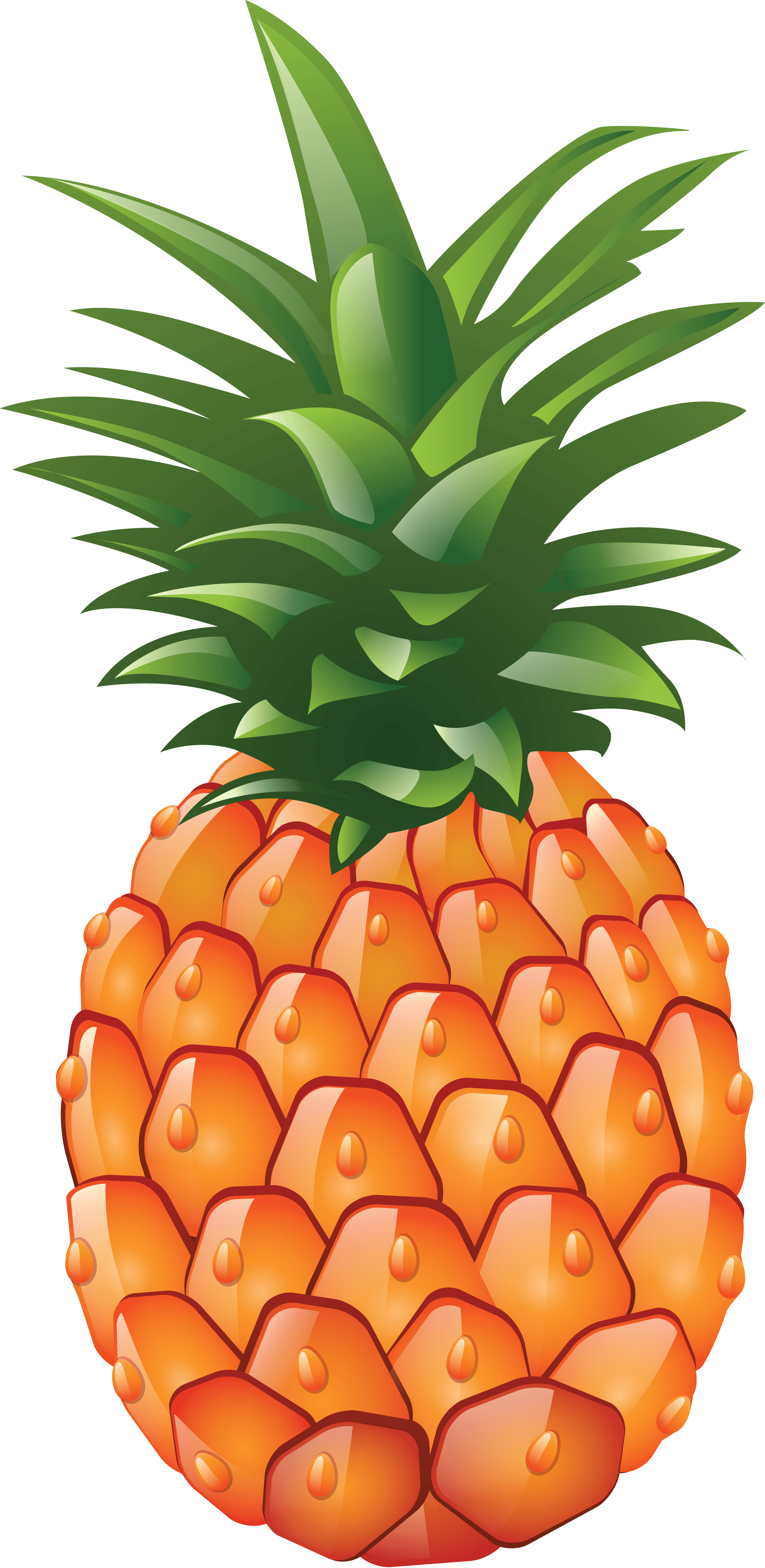 Pineapple png images.