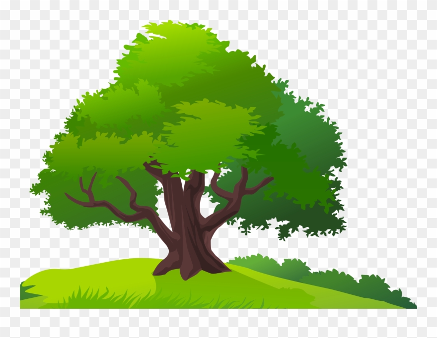 Tree And Grass Png Clipart Image