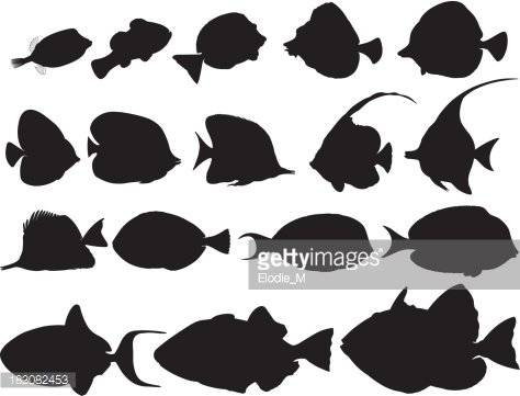Silhouettes tropical fishes.