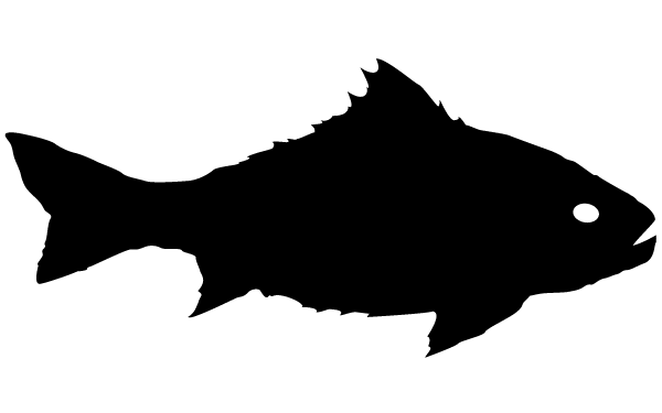 Free fish silhouette.