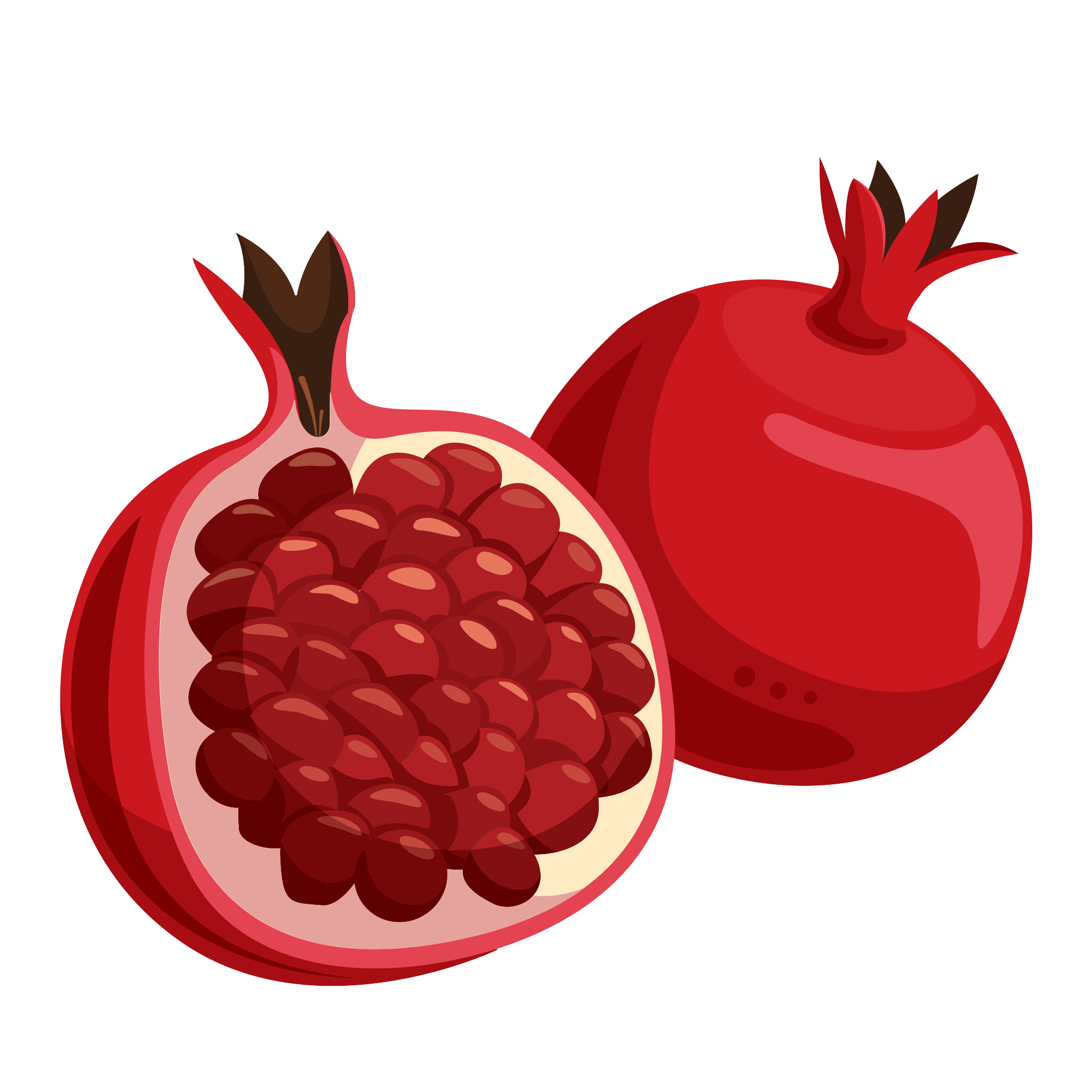 Pomegranate png images.