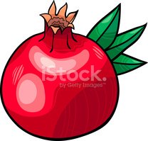 Pomegranate Fruit Cartoon Illustration stock vectors