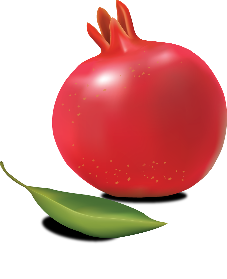 pomegranate clipart animated